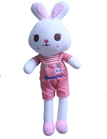 Dressed Rabbit，Plush Doll，Doll，Throw Pillow，Cartoon Throw Pillow