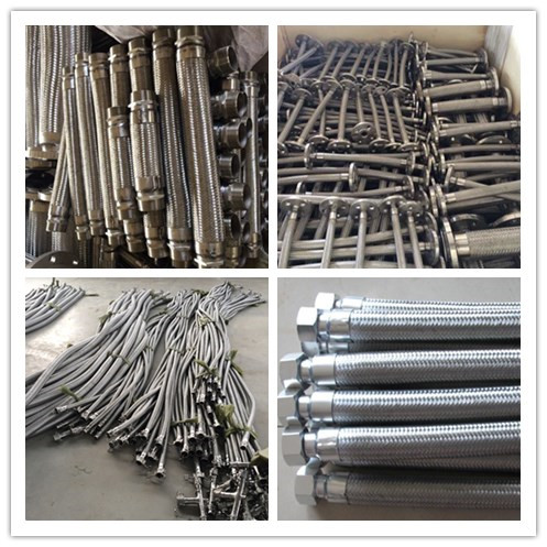 Ss304 Single or Double Wire Braid Metal Flex Hose