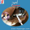 At Home Dog Teeth Cleaning Kit
