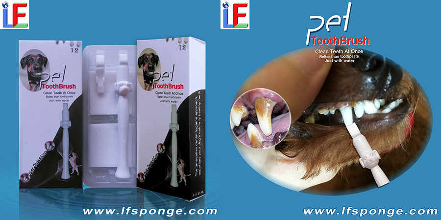 pet toothbrush combo pack