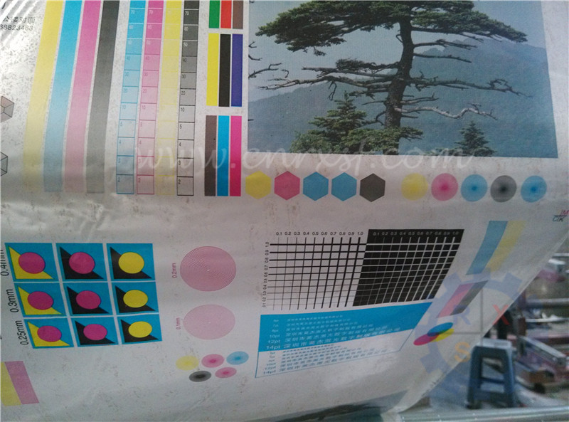 machine d'impression flexographique de 8 couleurs