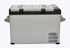 Mini réfrigérateur de véhicule