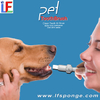 At Home Dog Teeth Cleaning Kit