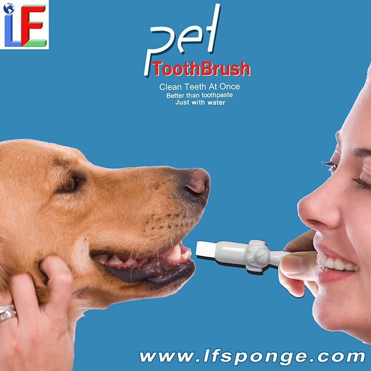 At Home Dog Teeth Cleaning Kit