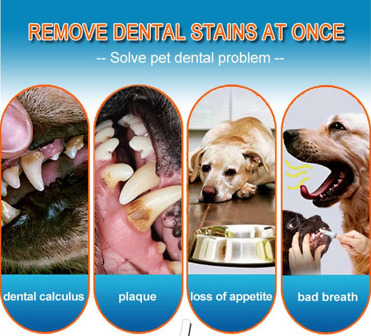 Pet teeth problem solve ToothBrush