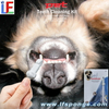 Dog Teeth Cleaning Kit