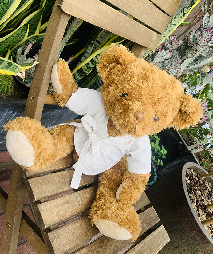 Antique Teddy Bear,Plush Doll/Doll/Throw Pillow/Cartoon Throw Pillow