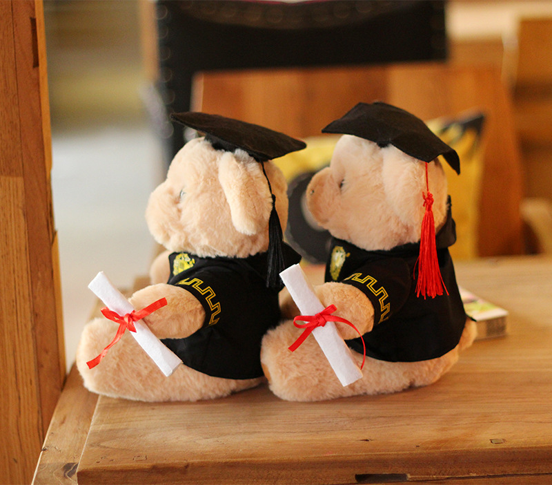 Doctor Hat Little Bear/Plush Doll/Doll/Throw Pillow/Cartoon Throw Pillow