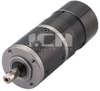 Planetary gearmotor D423H-41&42