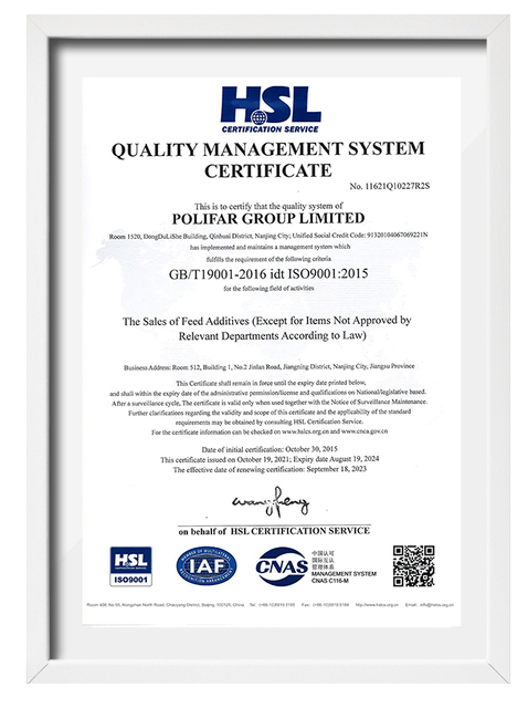 ISO 9001