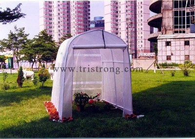 Garden Shed, Hothouse, Family Greenhouse (TSU-162G)