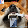 Dog Teeth Cleaning Kit