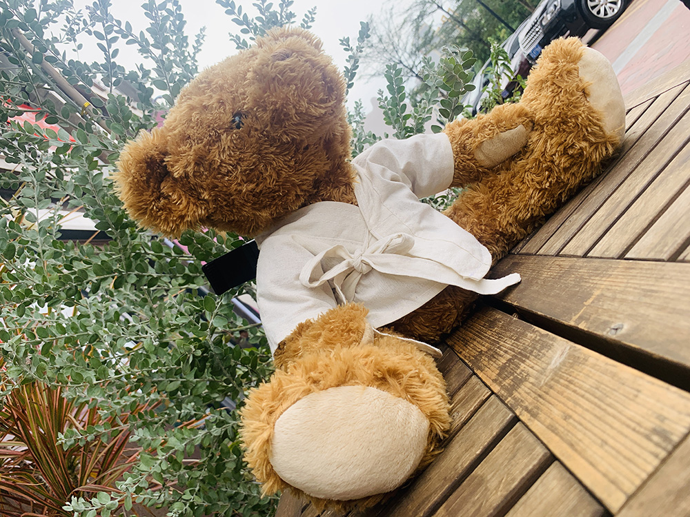 Antique Teddy Bear,Plush Doll/Doll/Throw Pillow/Cartoon Throw Pillow