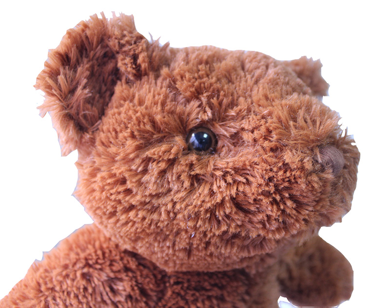 Brown Bear/Plush Doll/Doll/Throw Pillow/Cartoon Throw Pillow