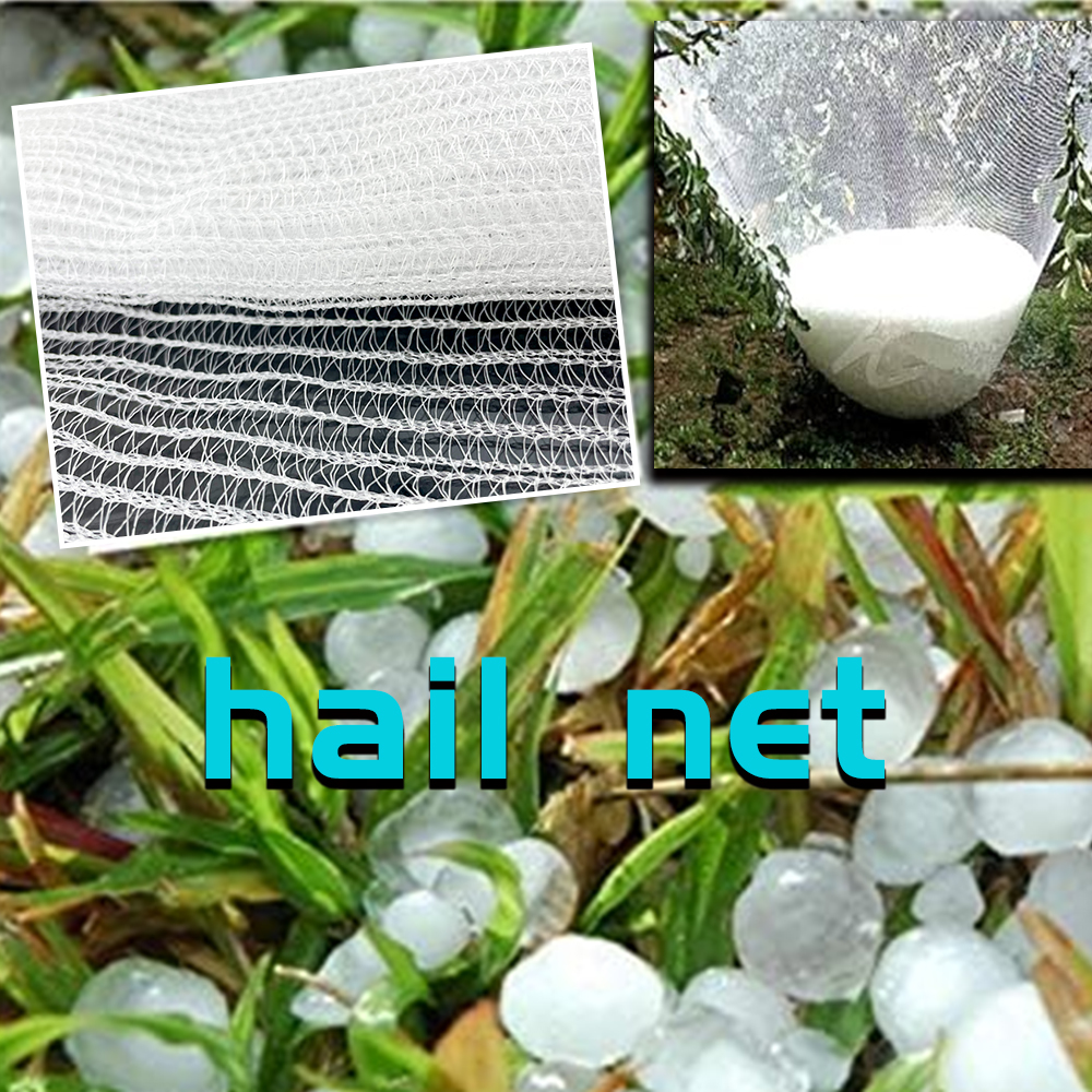 HDPE AGRÍCOLA PLÁSTICO PLÁSTICO ANTIA MALA NET WHITE SCO ARRANTE NETA 