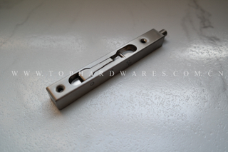 Top-150 ss concealed bolt