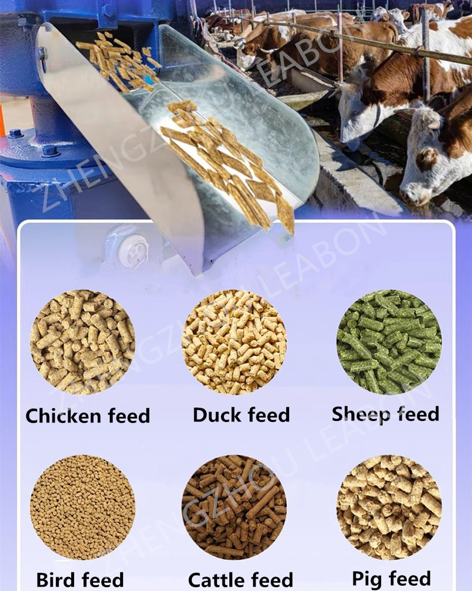 Zhenhzhou Leabon Machine Equipment Co.,Ltd.5 Zhenhzhou Leabon Machine Equipment Co.,Ltd.5