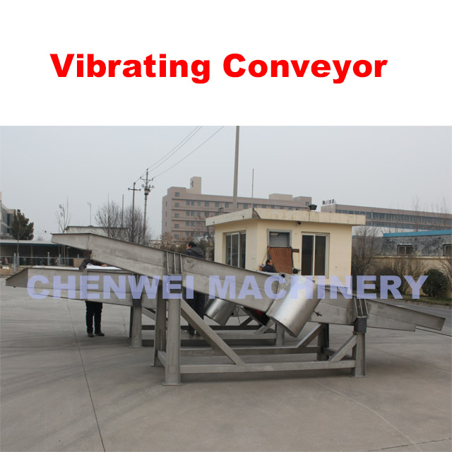 Vibrating Conveyor