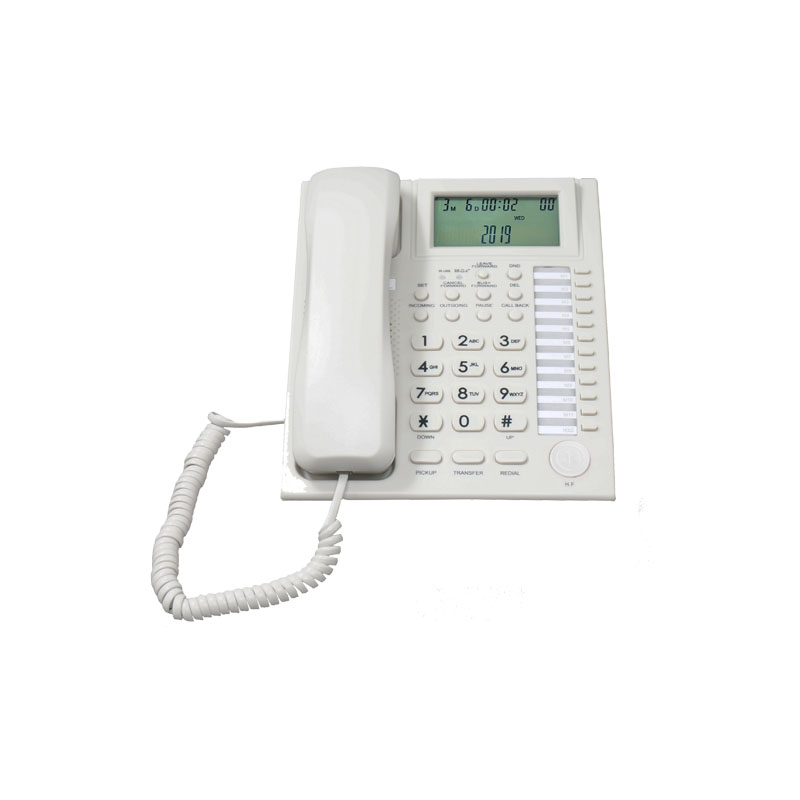 Analog Coded Phone PH206