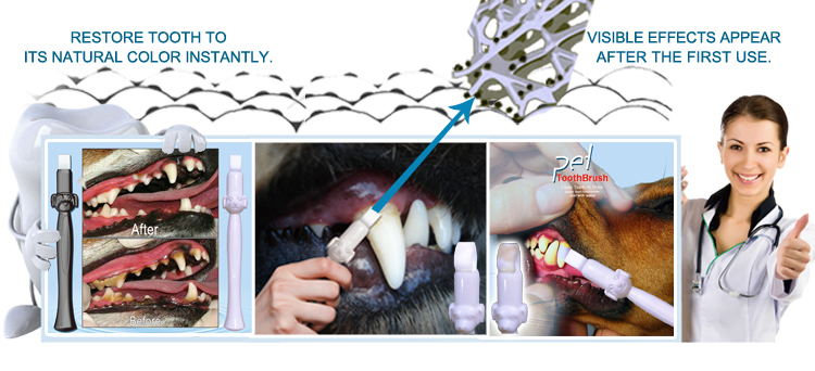 Innovation Brosse de dents pour animaux de compagnie