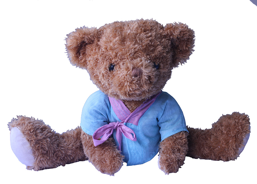 Teddy Bear,Pillow, Doll, Sleeping Pillow, Birthday Gift, Confession Artifact