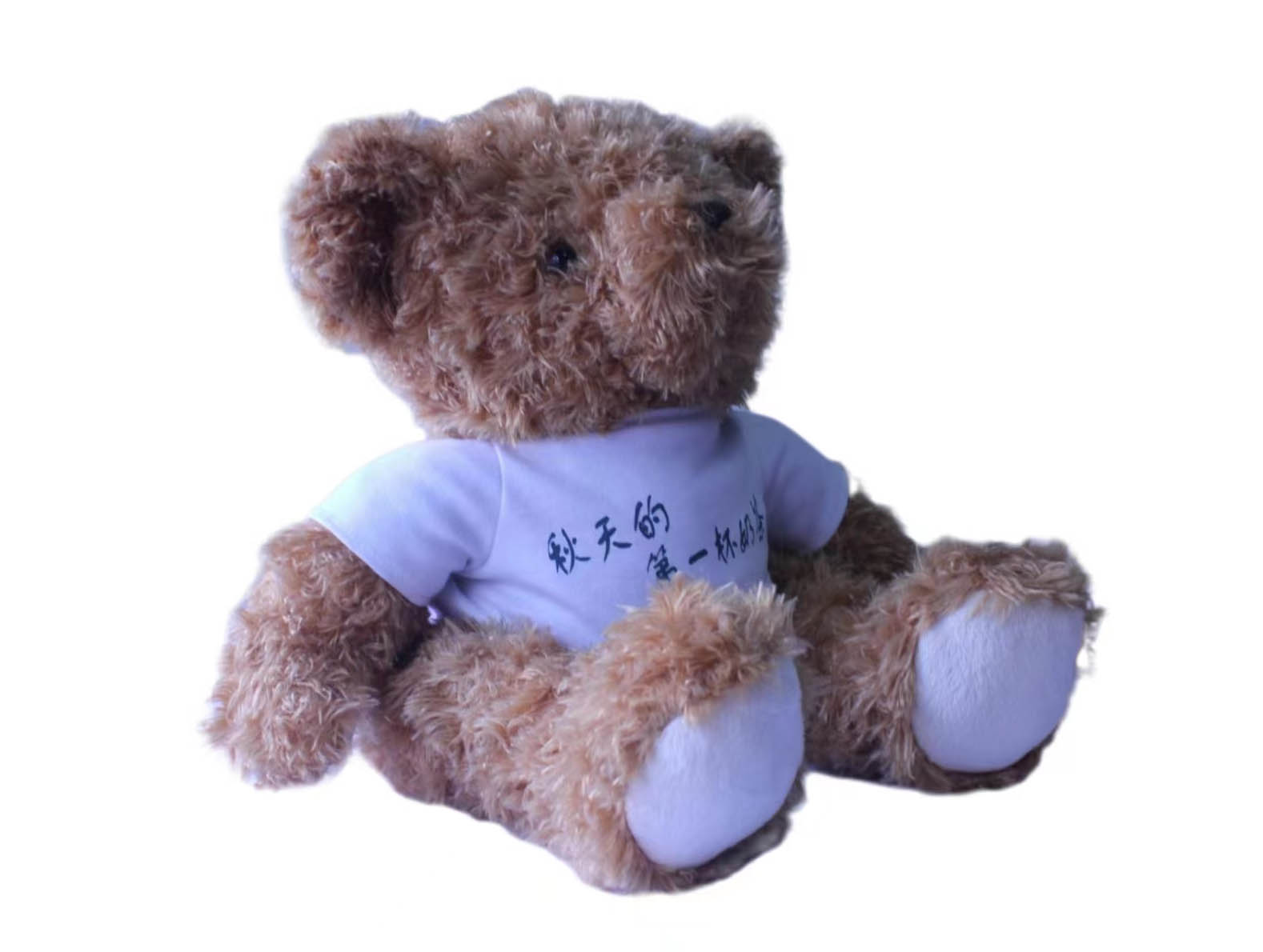 Teddy Bear，Plush Doll，Doll，Throw Pillow，Cartoon Throw Pillow