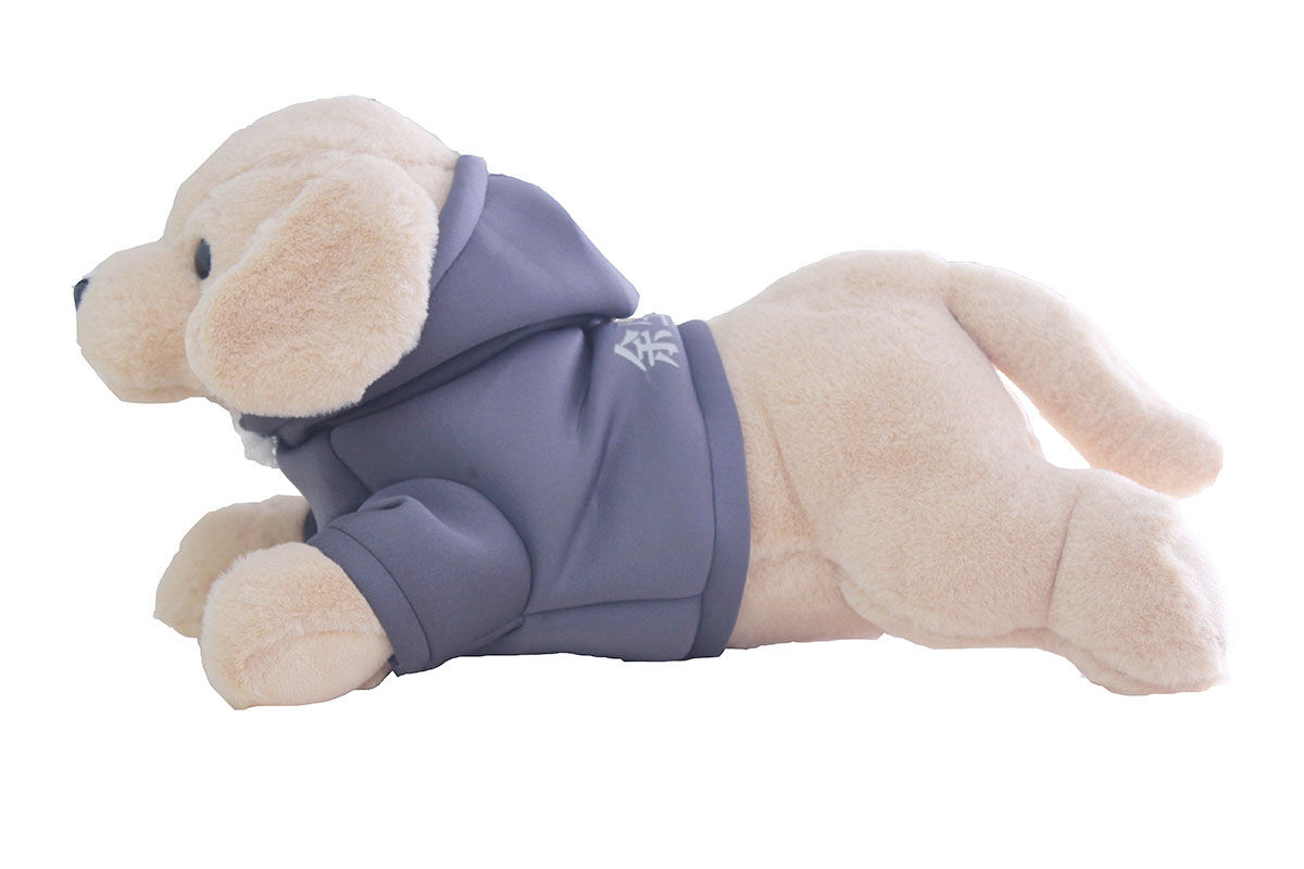  Dressed Dog/ Pillow, Doll, Sleeping Pillow, Birthday Gift