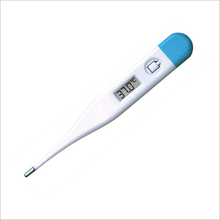 Pen-Like Thermometer (Model: E01.01001)