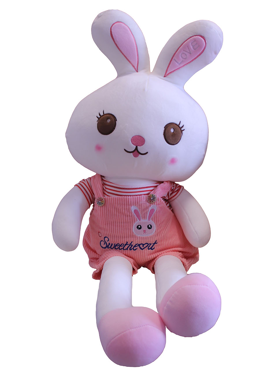 Dressed Rabbit，Plush Doll，Doll，Throw Pillow，Cartoon Throw Pillow