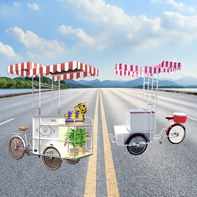 Customized Ice Cream Cart Gelato Ice Cream Freezer Display Cart for Popsicle Ice Cream Customizable Battery Power