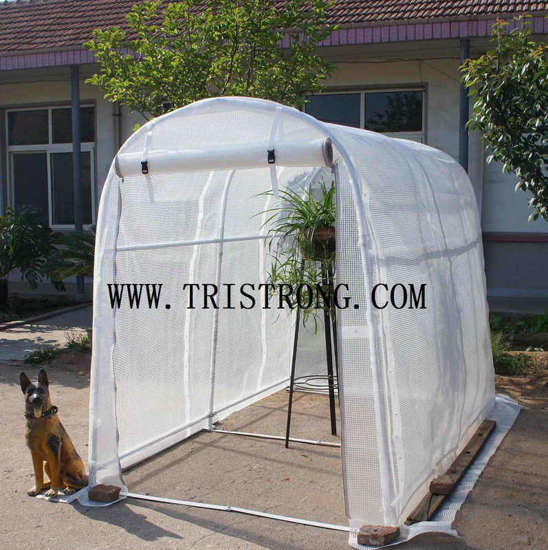 Flower House, Hothouse, Garden Tool, Garden Shed, Greenhouse (TSU-162G)