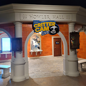 Студийный свет