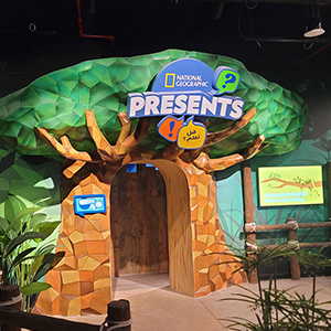 Светодиодный эллипсоидальный свет