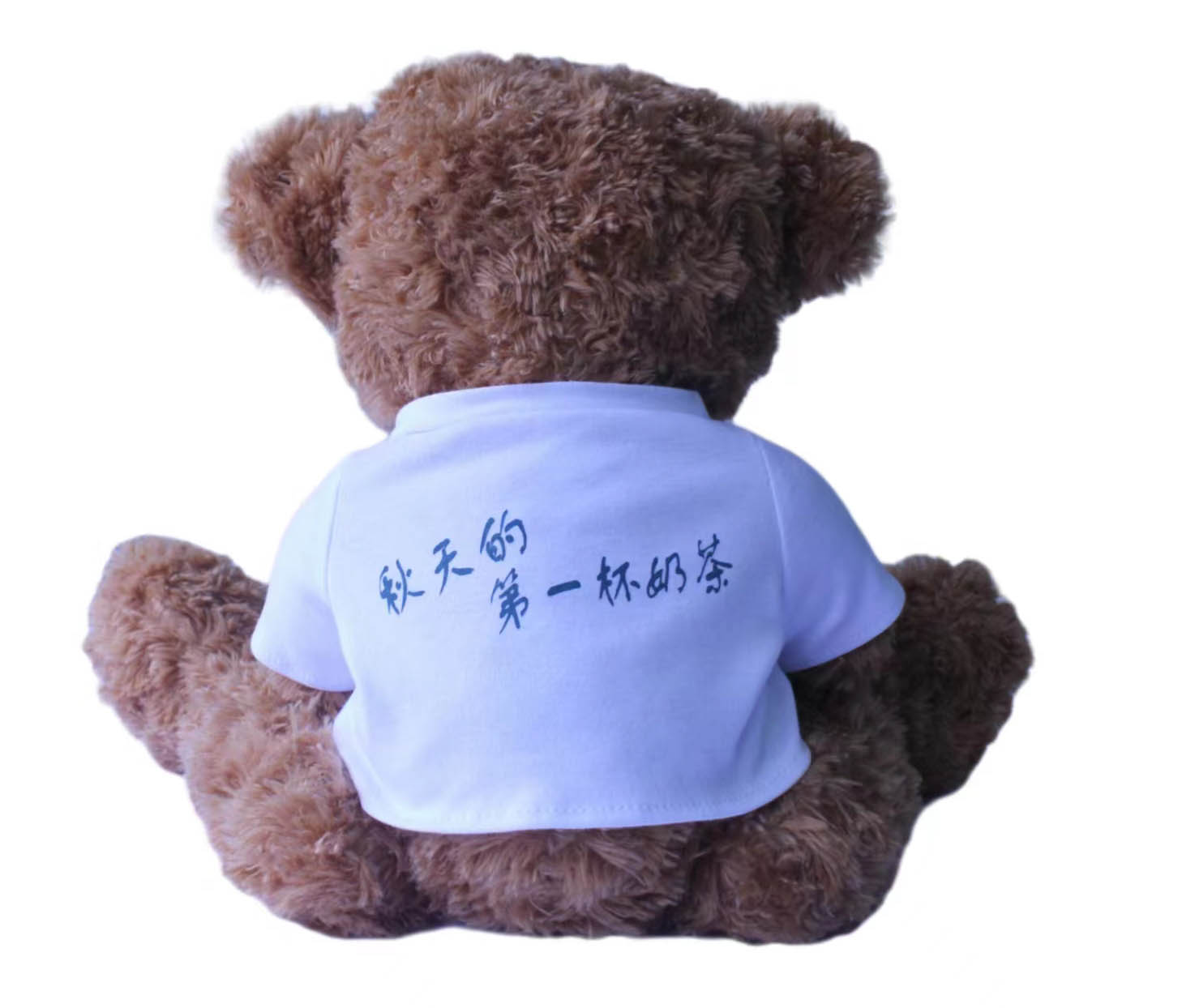 Teddy Bear，Plush Doll，Doll，Throw Pillow，Cartoon Throw Pillow