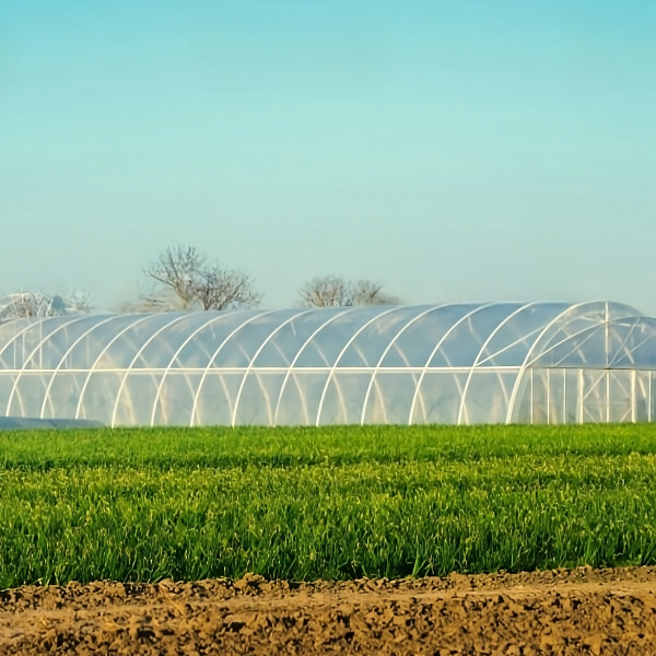 Impacto de las redes de plástico agrícola en la agricultura