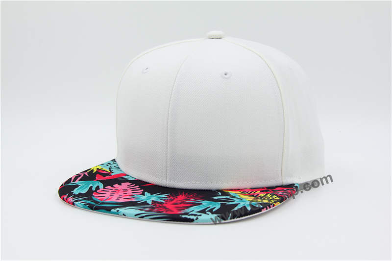 Snapback Cap005