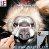 Pet Teeth Cleaning Kit
