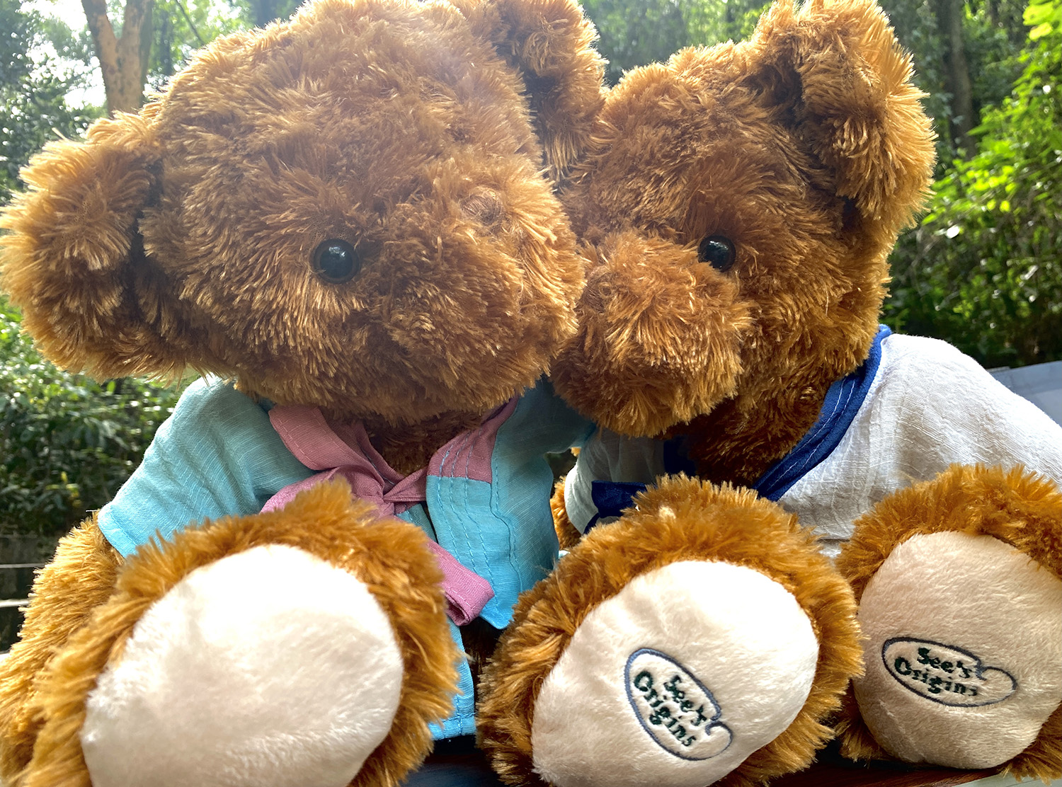 Teddy Bear,Pillow, Doll, Sleeping Pillow, Birthday Gift, Confession Artifact