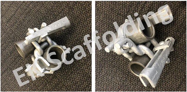 Голландская двойная муфт -шоу 06