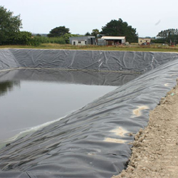 geomembrane