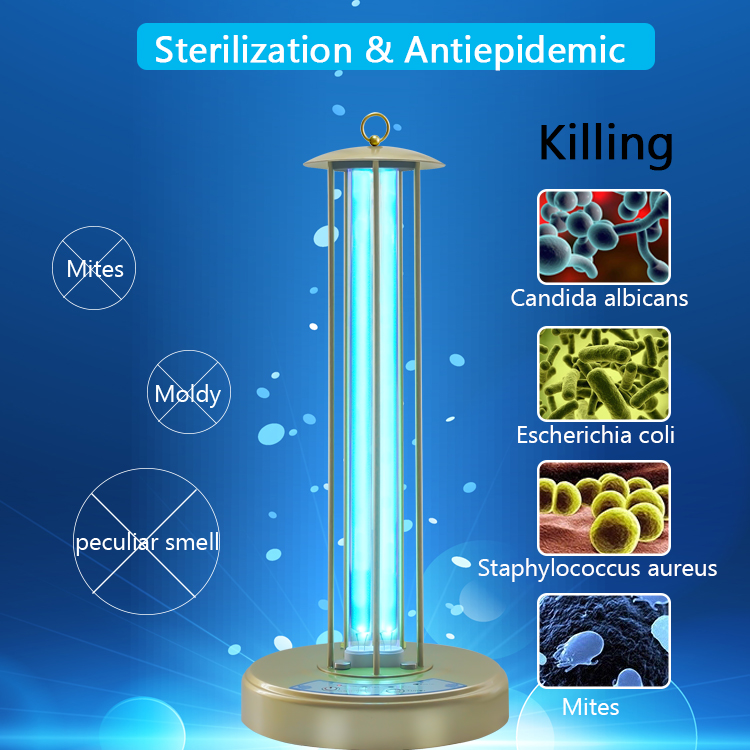 Ultraviolet light UV ozone difection lamp germicidal sterilizer UVD-2040 