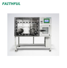 Anaerobic Incubator FAI-3T-N