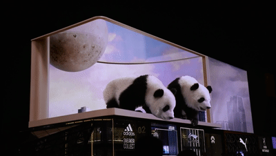 عارية العين 3D الباندا في الصين