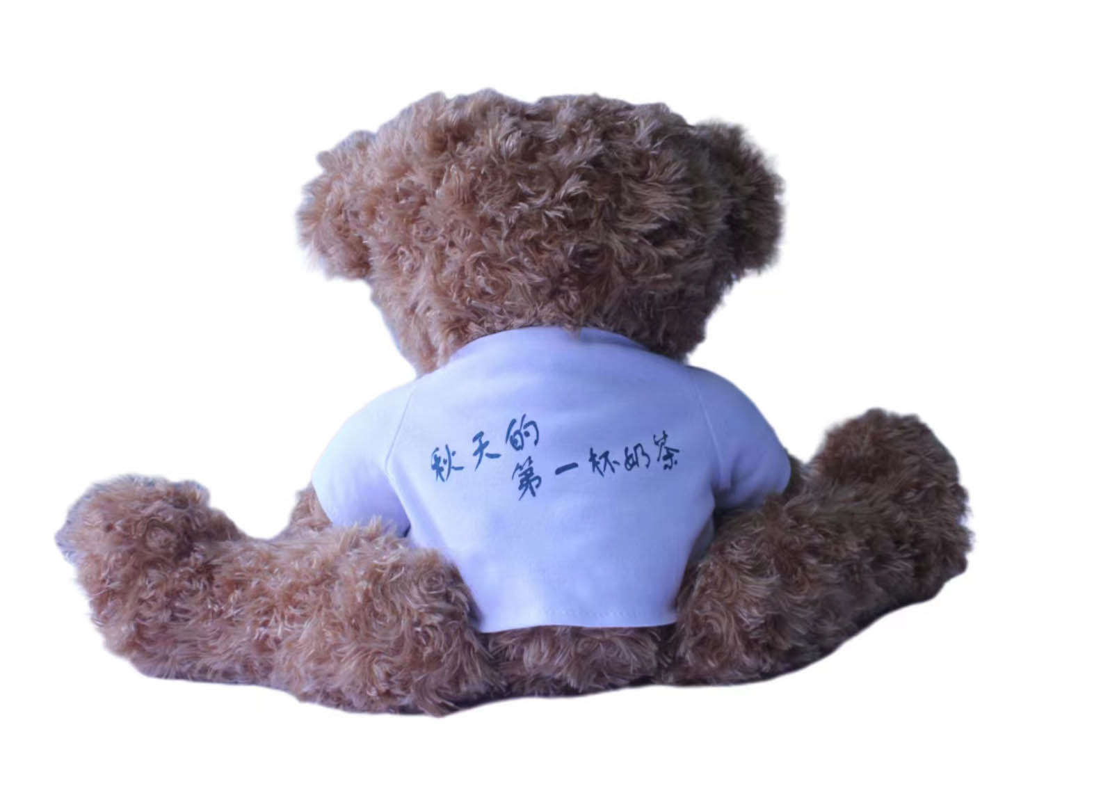 Teddy Bear，Plush Doll，Doll，Throw Pillow，Cartoon Throw Pillow