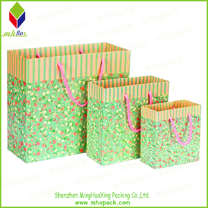 多彩的花色印刷礼品包装纸袋