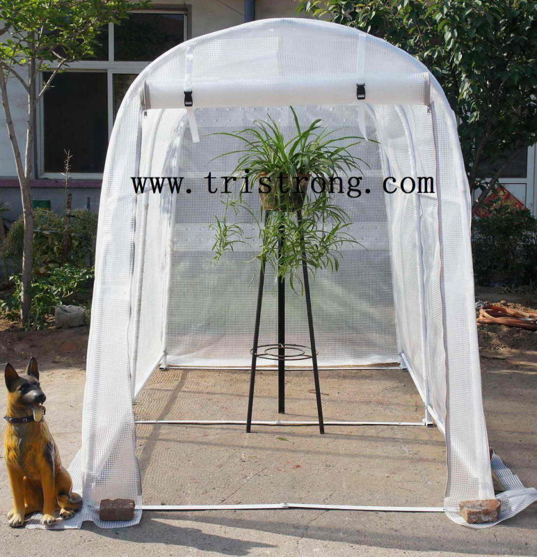 Garden Tool, Hothouse, Small Greenhouse (TSU-162G)