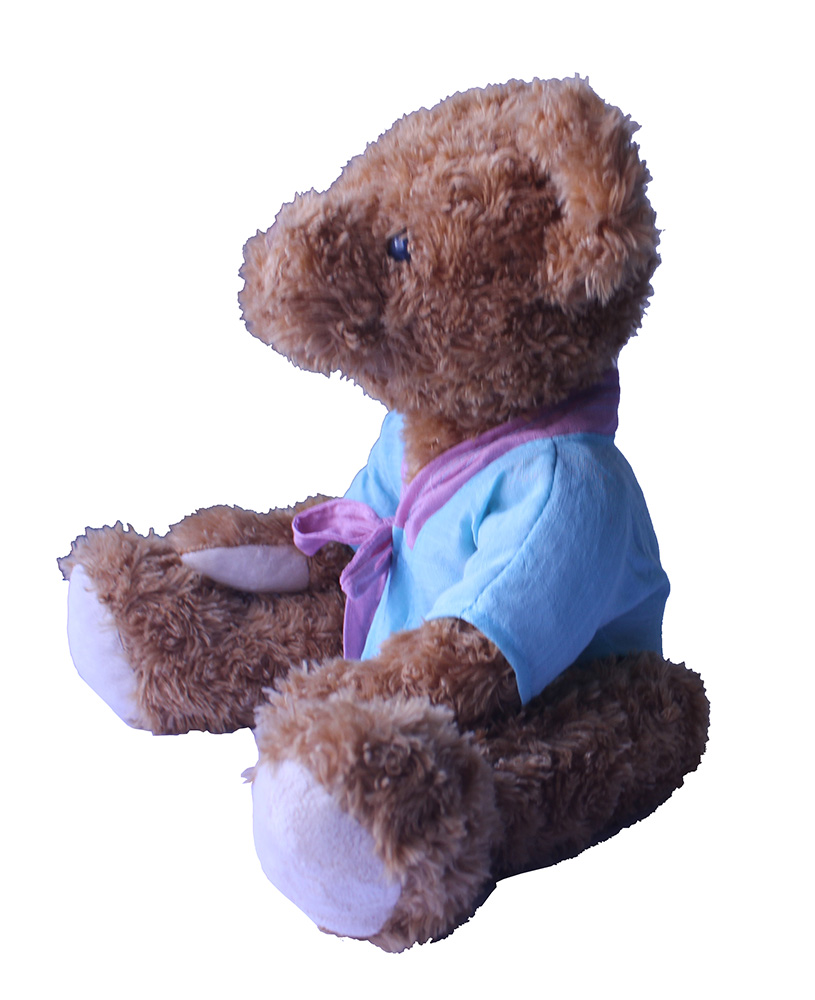 Teddy Bear,Pillow, Doll, Sleeping Pillow, Birthday Gift, Confession Artifact