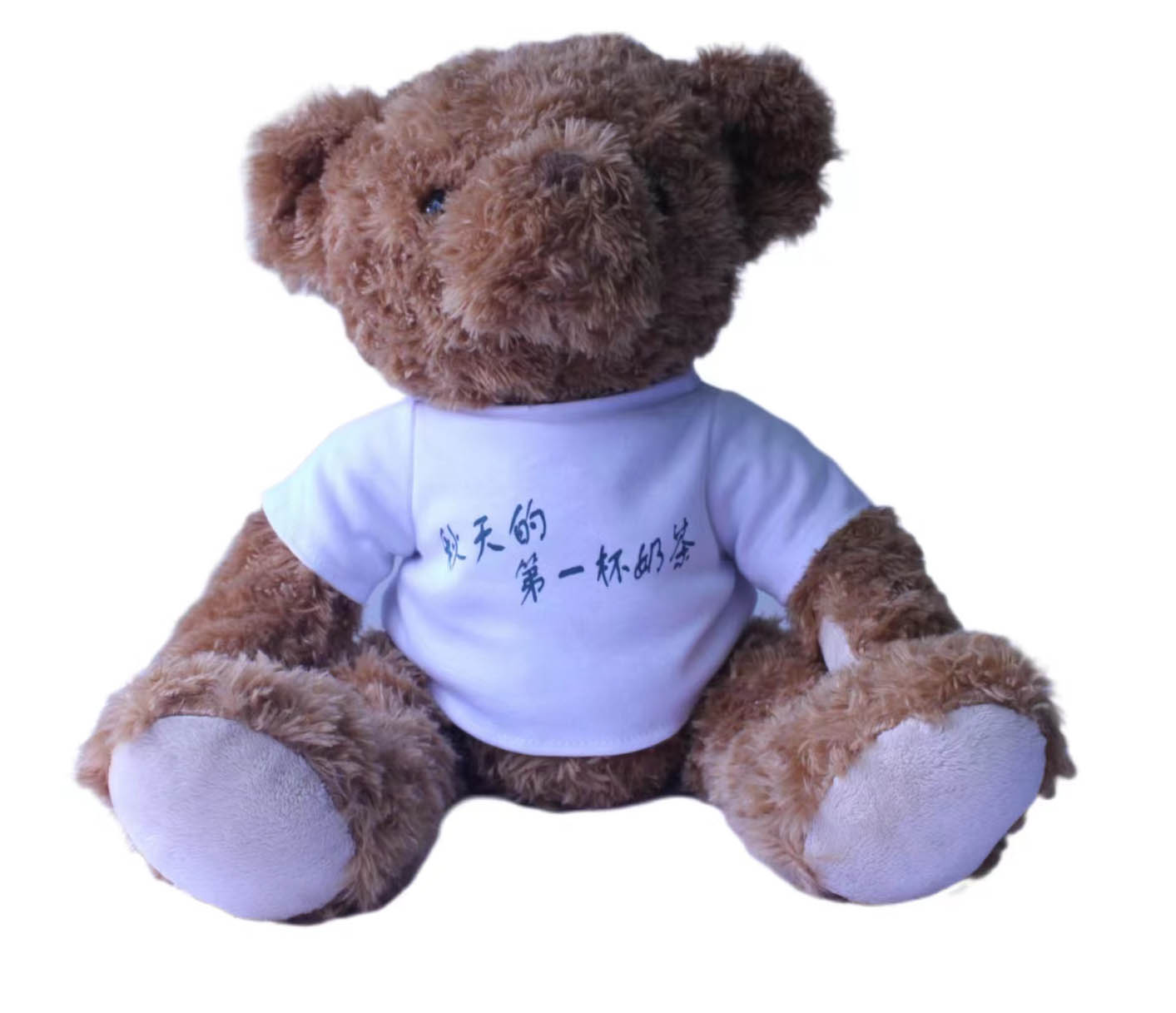 Teddy Bear，Plush Doll，Doll，Throw Pillow，Cartoon Throw Pillow