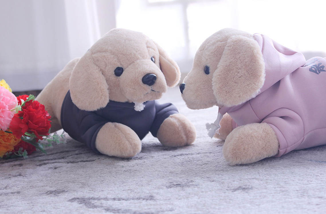  Dressed Dog/ Pillow, Doll, Sleeping Pillow, Birthday Gift