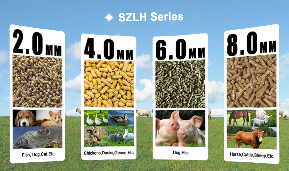 Feed Pellet Machine (2)